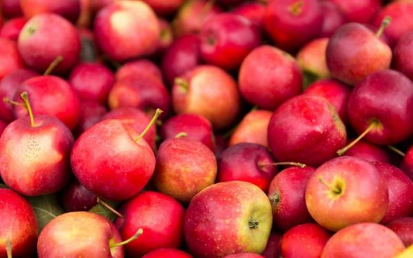 Energy Choice Ohio: Apples to Apples